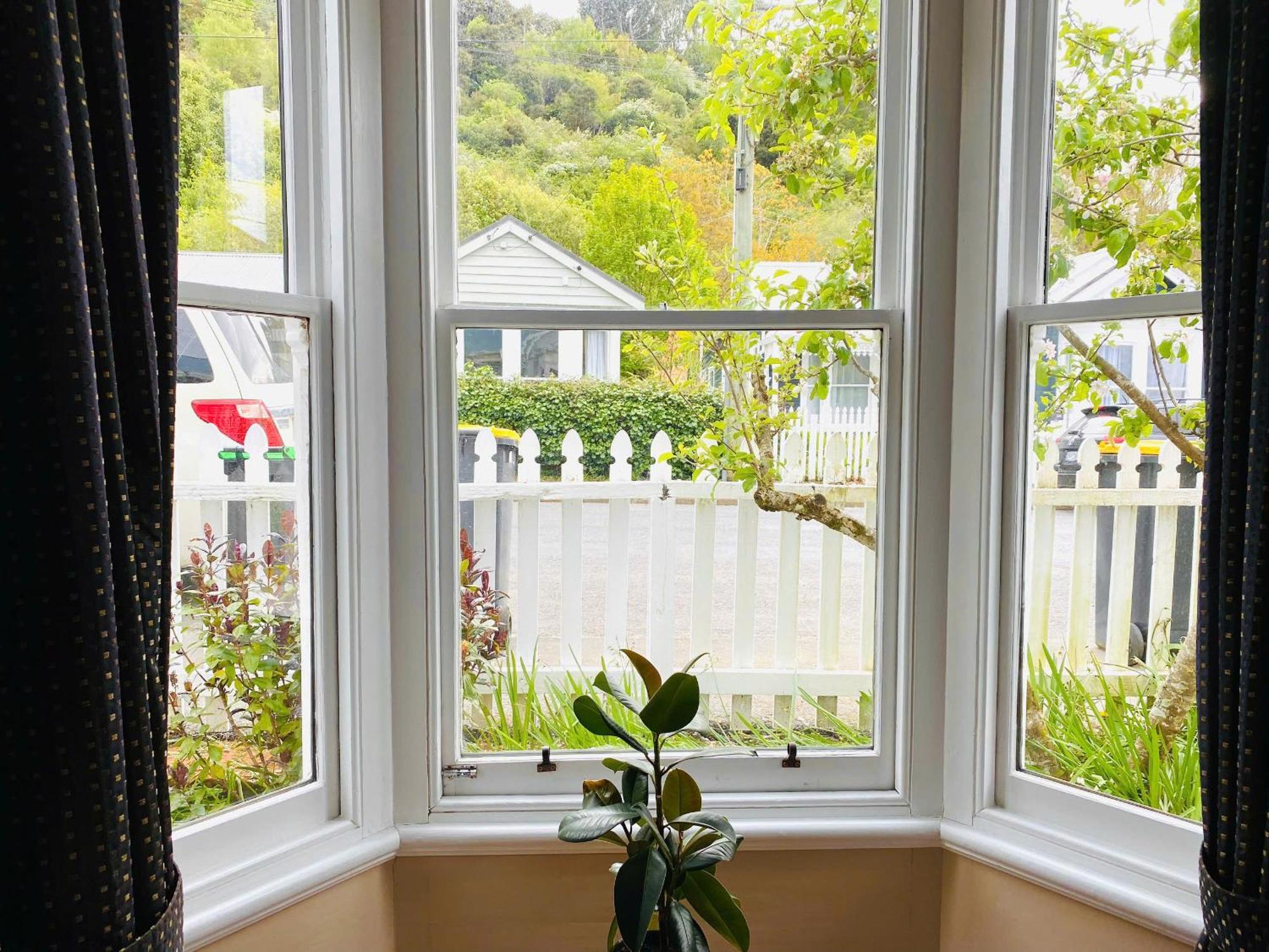 In Dunedin'S Heart, Full House, Full Sun, Full Chill, Why Stay At A Hotel When You Can Afford An Entire House Exteriör bild