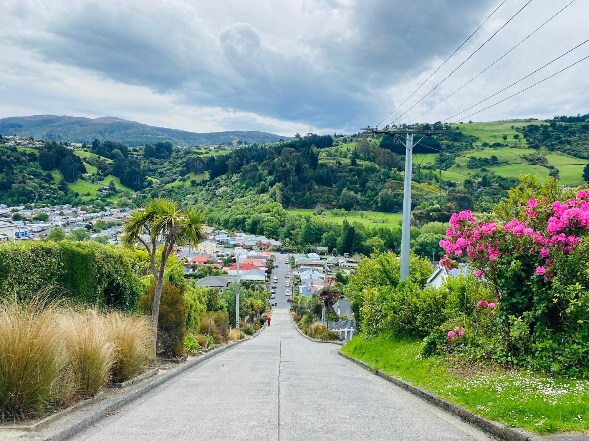 In Dunedin'S Heart, Full House, Full Sun, Full Chill, Why Stay At A Hotel When You Can Afford An Entire House Exteriör bild